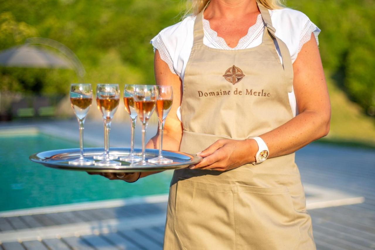 Domaine De Merlac Rieussec Exteriör bild