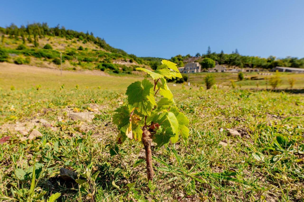 Domaine De Merlac Rieussec Exteriör bild
